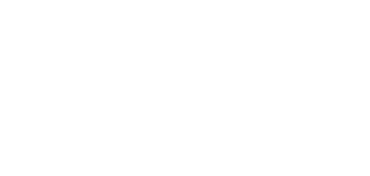 logo dnia